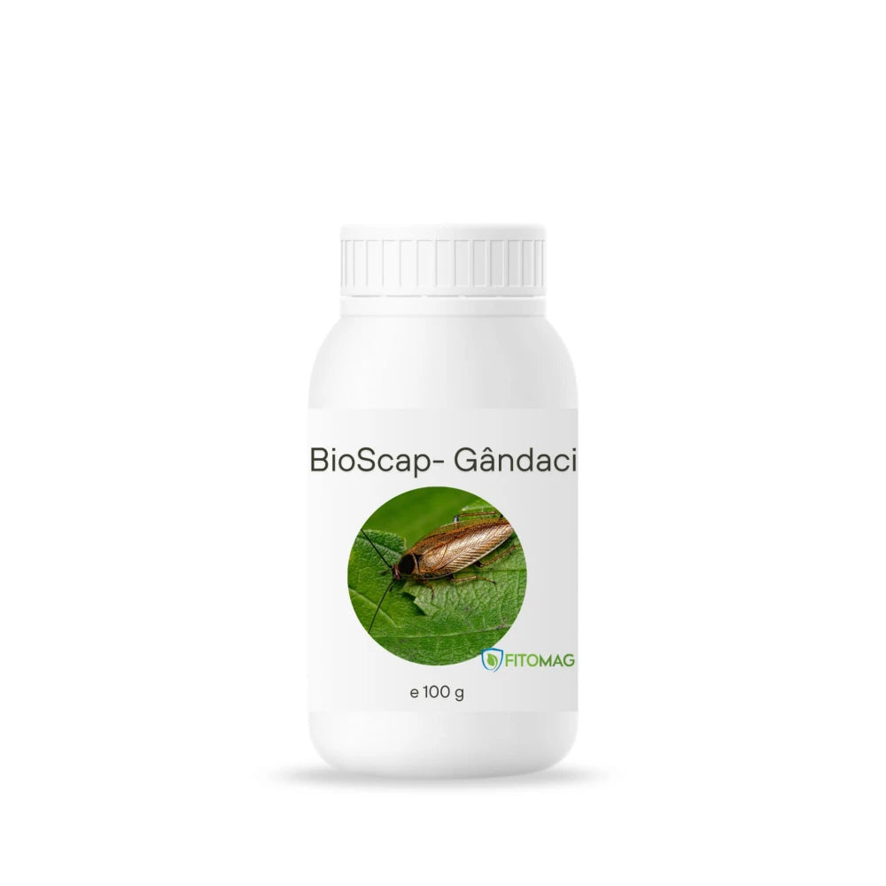 BioScap Insecticid Bio Pulbere Gandaci Bucatarie Canalizare – Bucatarie, Depozite, Restaurante, Interior – Imprastiere Contact Diatomee (SiO2)