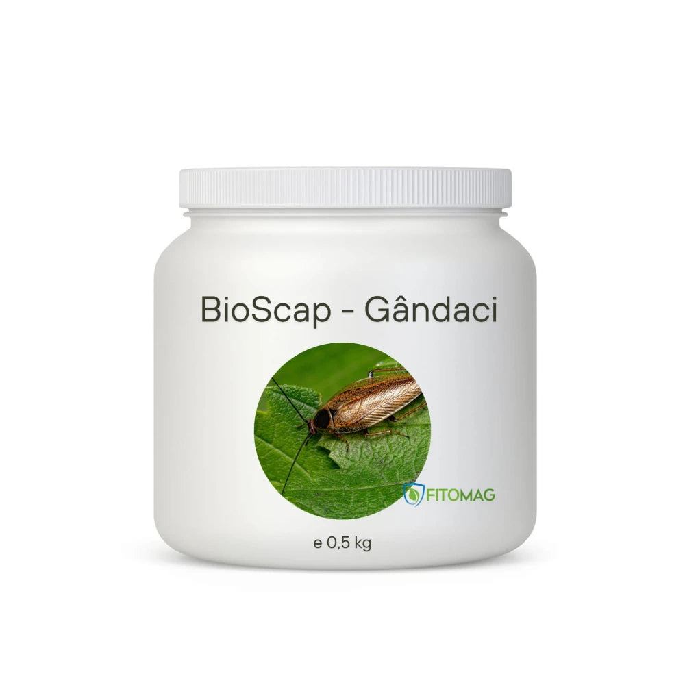BioScap Insecticid Bio Pulbere Gandaci Bucatarie Canalizare – Bucatarie, Depozite, Restaurante, Interior – Imprastiere Contact Diatomee (SiO2)