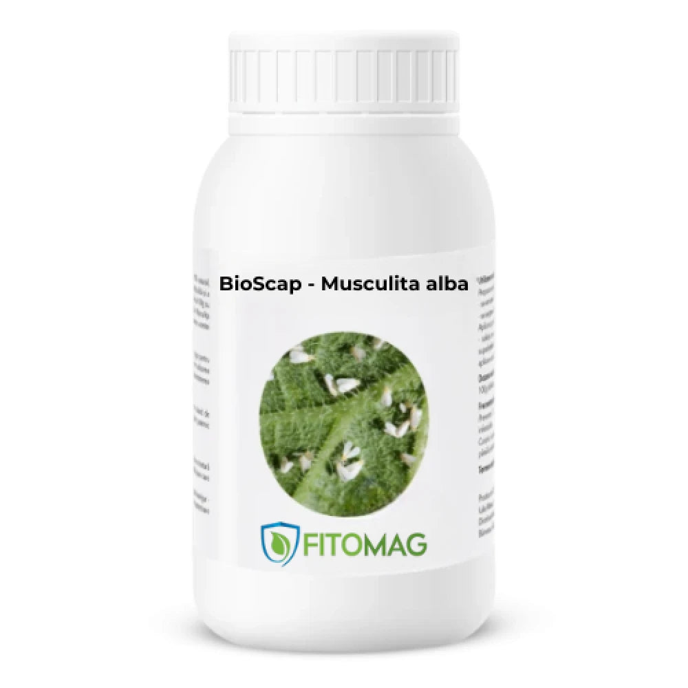 biopreparat-bioscap-protectie-impotriva-musculitei-albe