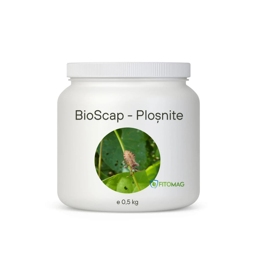 BioScap Insecticid Bio Anti-Plosnite Pat, Saltele, Dormitor, Hotel, Pensiune - Imprastiere Contact Pulbere Diatomee (SiO2)