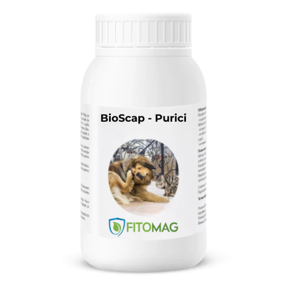 BioScap Insecticid Bio Anti-Purici – Mocheta, Canapea, Tapiterie, Curte, Animale Companie, Interior - Pulbere Diatomee (SiO2)  Imprastiere Contact