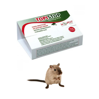 https://fitomag.ro/continut/produse/10714/560/capcana-adeziva-gea-topi-stop_300665.webp