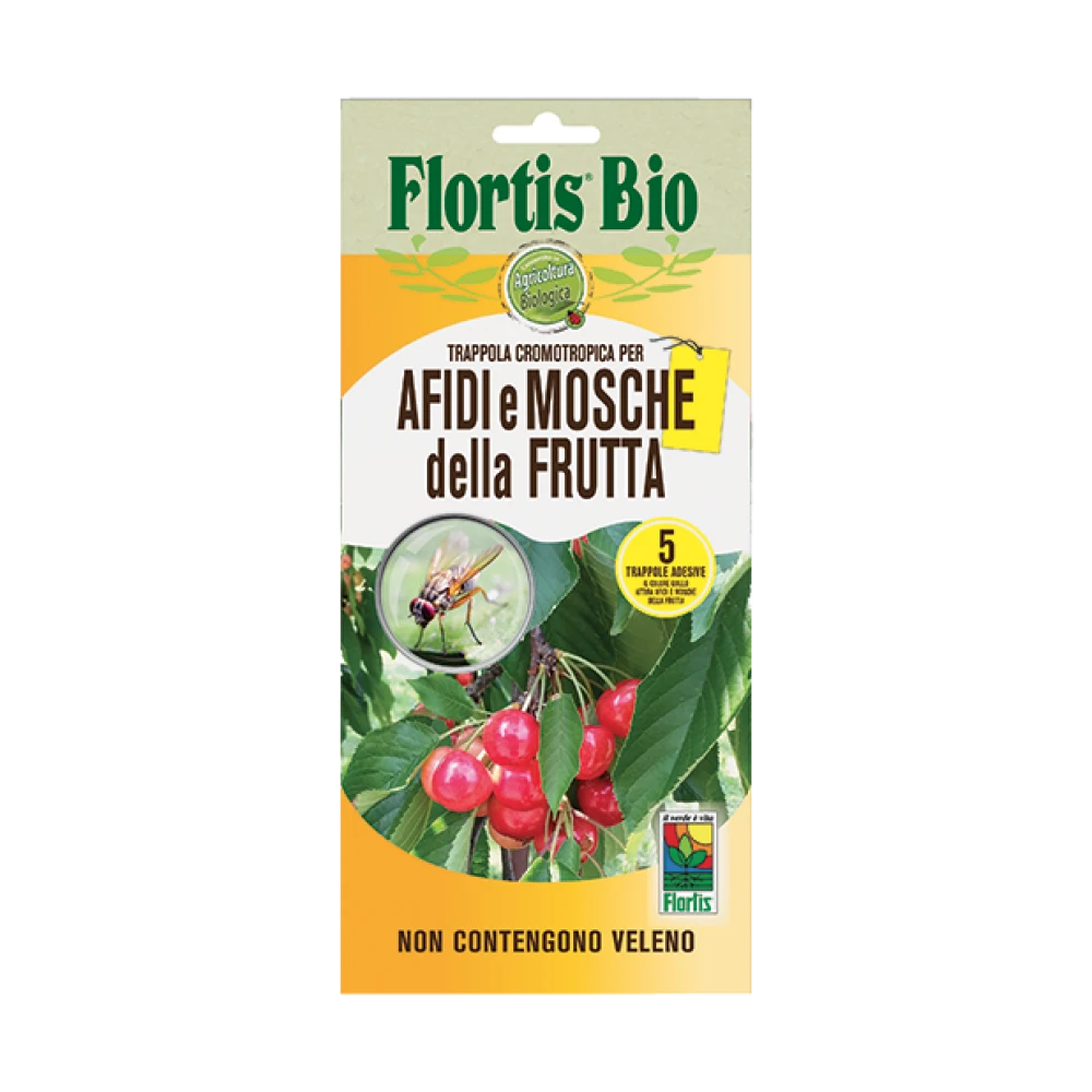 capcana-adeziva-set-orvital-musca-fructelor-insecticid-fara-chimicale-animale-companie-bucatarie