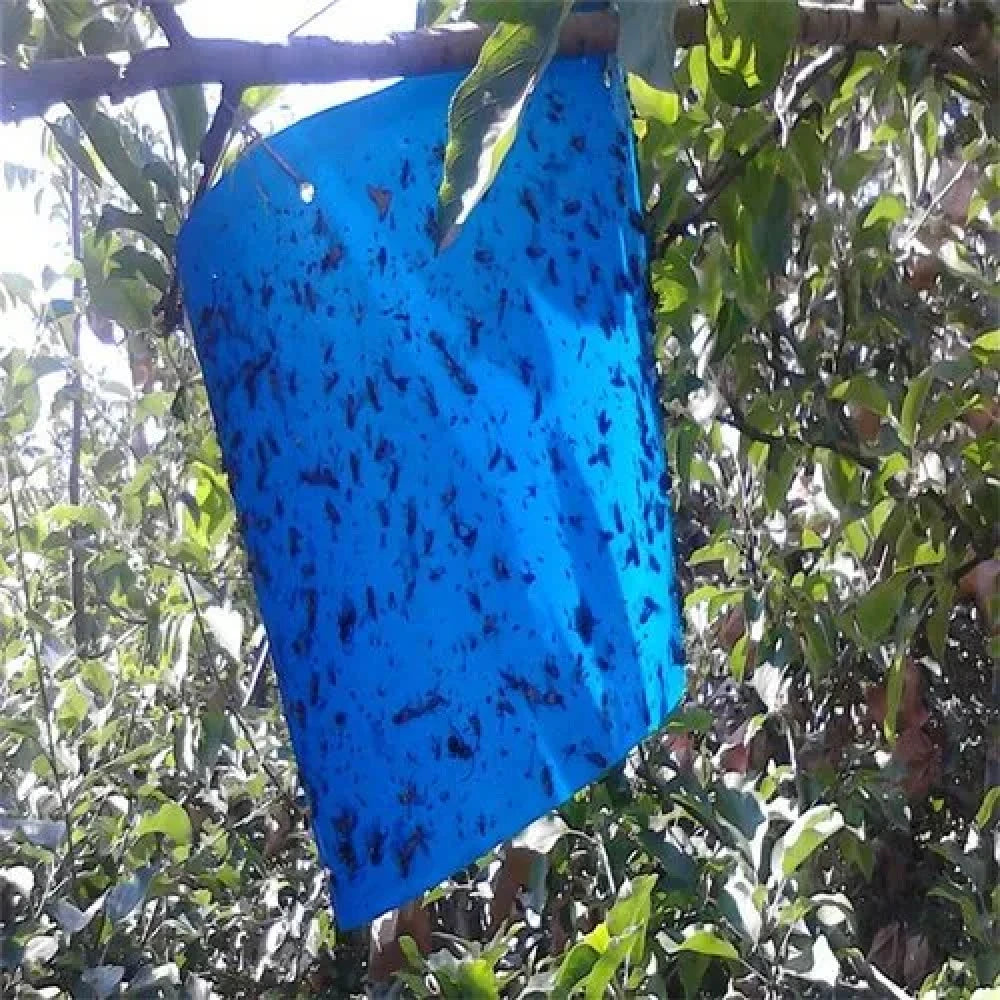 Banda adezivă Sita – Albastra - SolPlant.ro