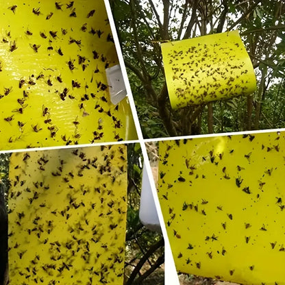 Capcana adeziva Sita, galbena L, pentru monitorizarea si controlul insectelor daunatoare - SolPlant.ro