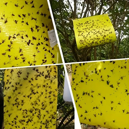Capcana adeziva Sita, galbena L, pentru monitorizarea si controlul insectelor daunatoare - SolPlant.ro