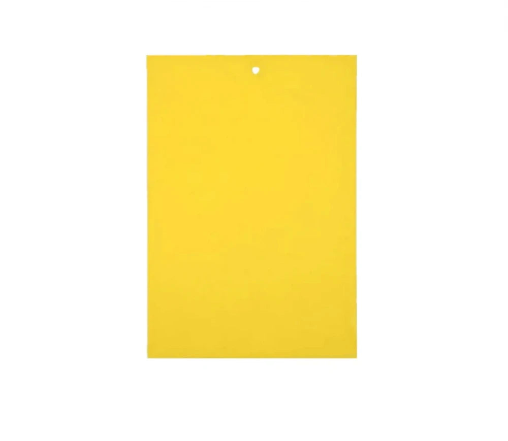 capcana-adeziva-yellow-m-set-musculita-alba-insecticid-fara-chimicale-animale-companie-interior