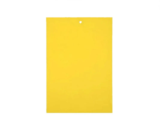 capcana-adeziva-yellow-m-set-musculita-alba-insecticid-fara-chimicale-animale-companie-interior