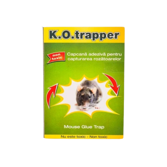 capcana-adeziva-ko-trapper-soareci-insecticid-fara-chimicale-animale-companie-bucatarie-natural