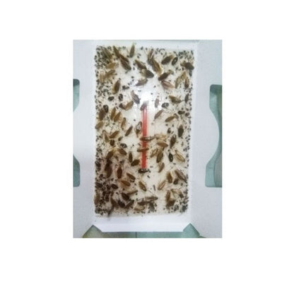 https://fitomag.ro/continut/produse/3832/1000/capcana-geo-trap-65896.jpg