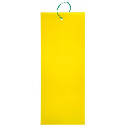 https://fitomag.ro/continut/produse/66573/1000/capcana-lipicioasa-pentru-insecte-galbena-l-67934.jpg