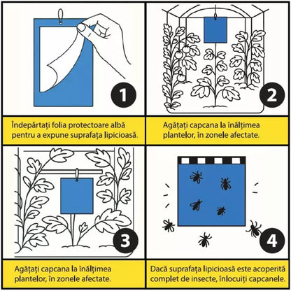 Capcane Lipicioase Albastre Set 10 Placi – Monitorizare și Control Trips (Thysanoptera) – Seră, Solar, Flori