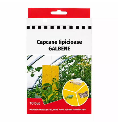 Capcane Lipicioase Galbene Set 10 Placi - Musculita Alba, Afide, Purici, Acarieni