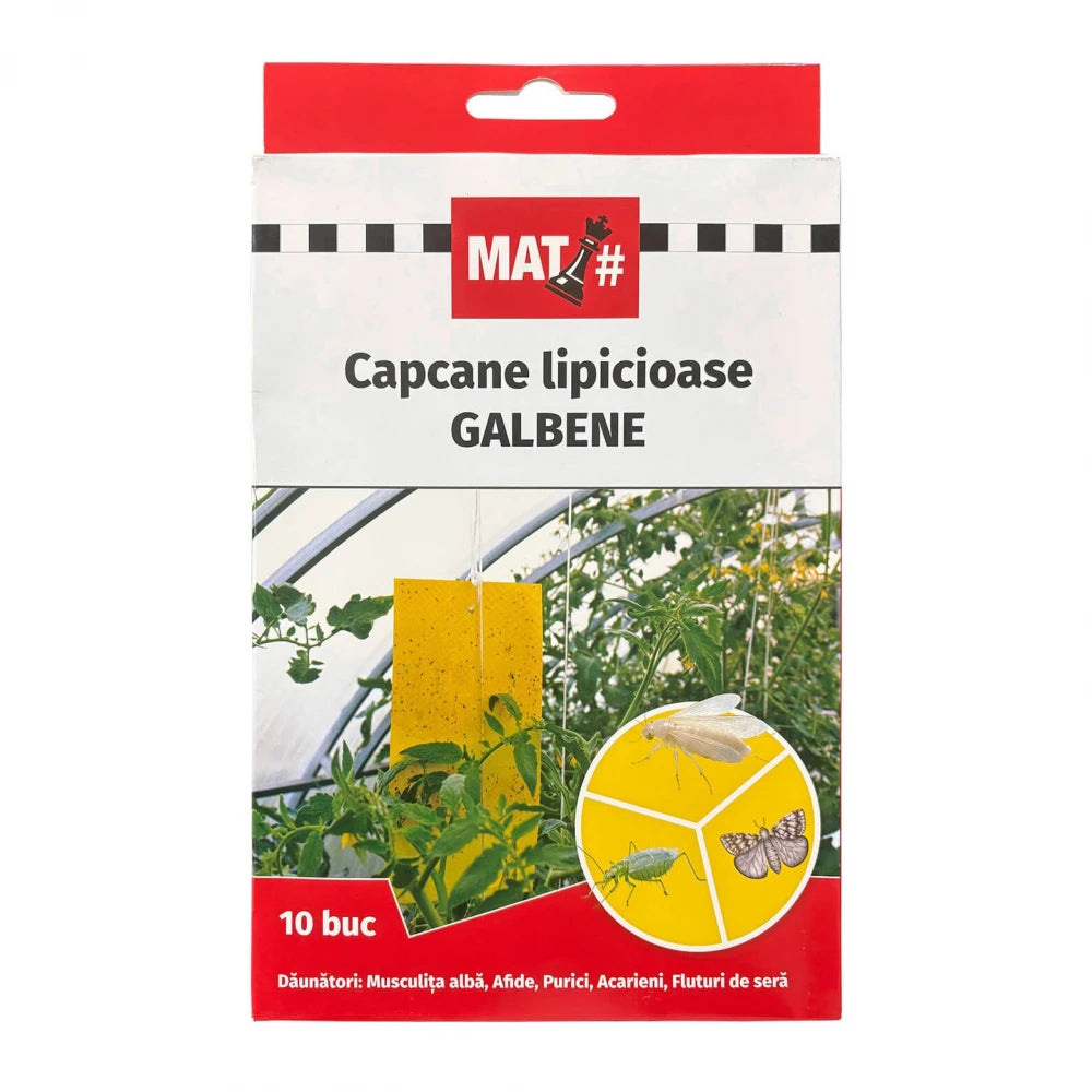 capcane-lipicioase-galbene-set-10-placi-musculita-alba-afide-insecticid-fara-chimicale-interior-solar
