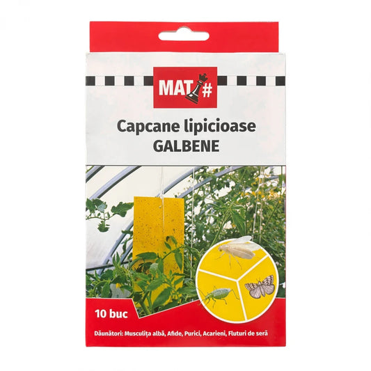 capcane-lipicioase-galbene-set-10-placi-musculita-alba-afide-insecticid-fara-chimicale-interior-solar