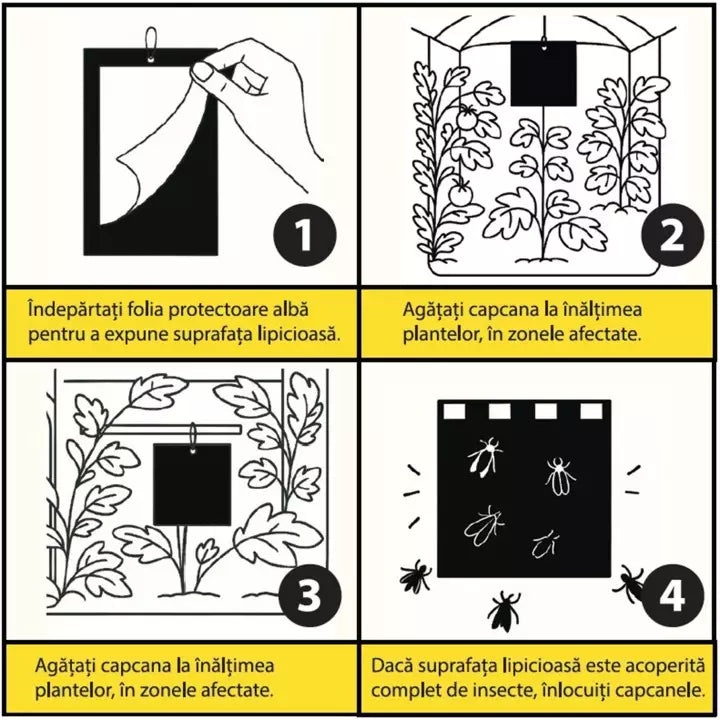 Capcane Lipicioase Negre Set 10 Placi - Tuta Absoluta, Molia Rosiilor - Monitorizare și Control  Roșii, Vinete, Ardei