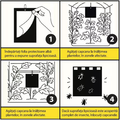 Capcane Lipicioase Negre Set 10 Placi - Tuta Absoluta, Molia Rosiilor - Monitorizare și Control  Roșii, Vinete, Ardei
