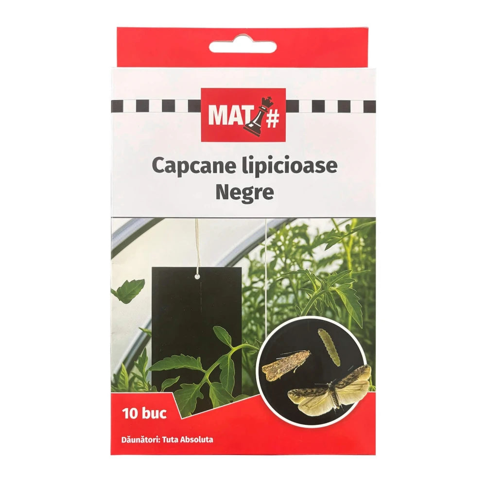 capcane-lipicioase-negre-set-10-placi-mat-tuta-absoluta-insecticid-fara-chimicale-solar