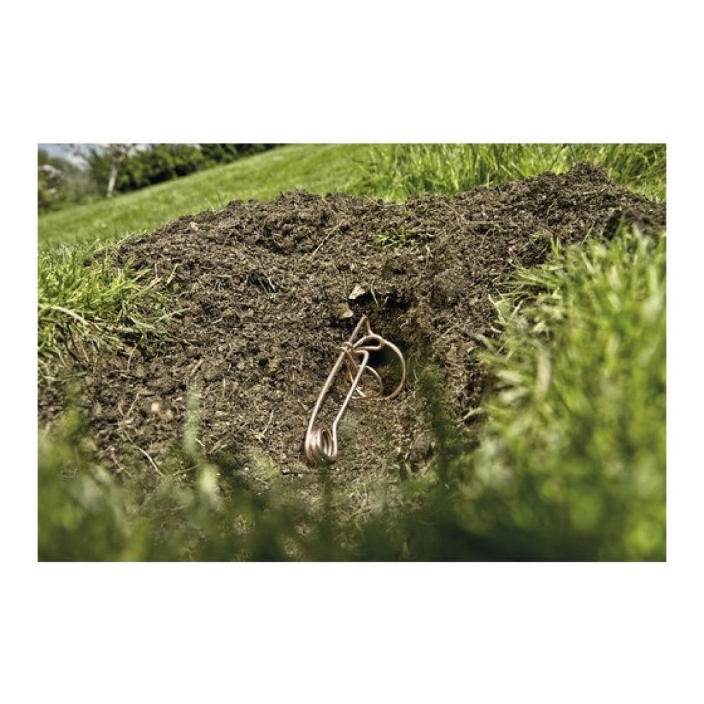 https://fitomag.ro/continut/produse/66914/1000/cartocatch-2-buc-capcana-cartite-5-seturi_83554.jpg