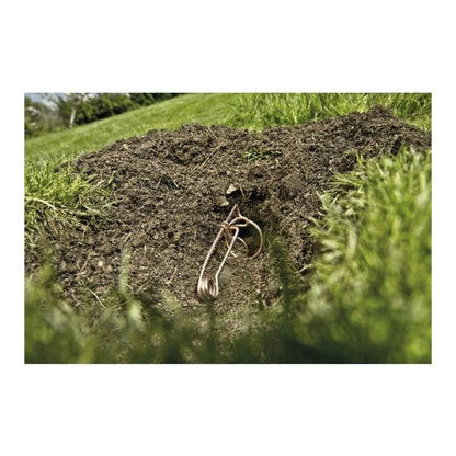 https://fitomag.ro/continut/produse/66914/1000/cartocatch-2-buc-capcana-cartite-5-seturi_83554.jpg