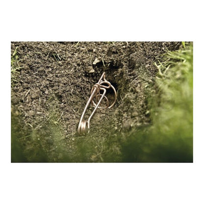 https://fitomag.ro/continut/produse/66914/1000/cartocatch-2-buc-capcana-cartite-5-seturi_83555.jpg