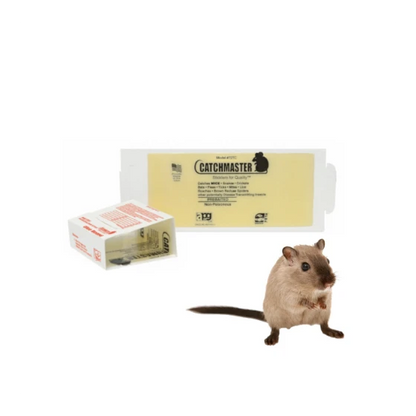 https://fitomag.ro/continut/produse/8591/560/catchmaster-72tc_300615.webp