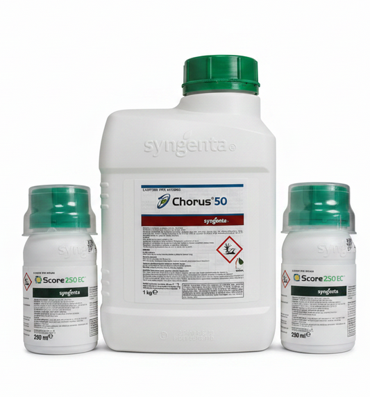 Pachet Chorus 50 WG + Score 250 EC (1 kg + 0,5L) - Rapan Mar, 2 ha, Syngenta