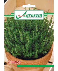 https://agrosemseed.ro/images/thumbnails/240/290/detailed/9/cimbru.jpg