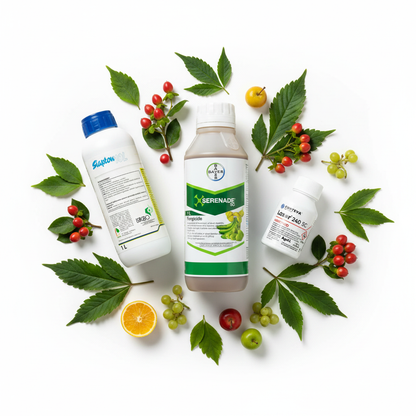 Flat lay produse