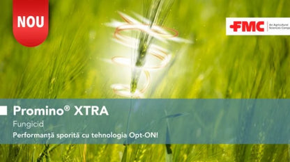 Promino Xtra Fungicid Cu Azoxistrobin Și Protioconazol Pentru Rapiță, Grâu, Orz, Secară Și Triticale