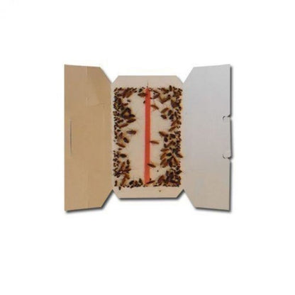 https://fitomag.ro/continut/produse/66178/1000/geo-trap-67055.jpg