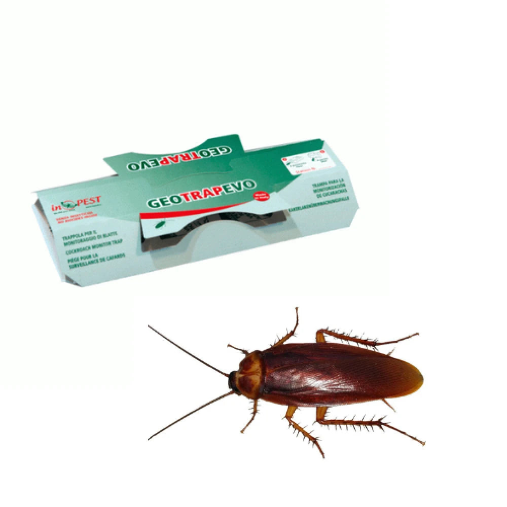 https://fitomag.ro/continut/produse/65258/1000/geotrap-capcana-gandaci_300616.webp