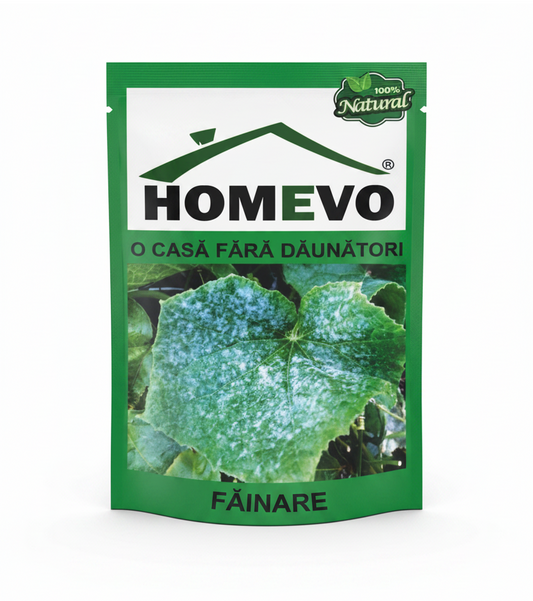 homevo-fainare-24-g