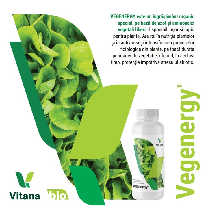 https://www.verdon.ro/44147-product_main/ingrasamant-foliar-vegenergy-organic-vitana-1-litru.jpg