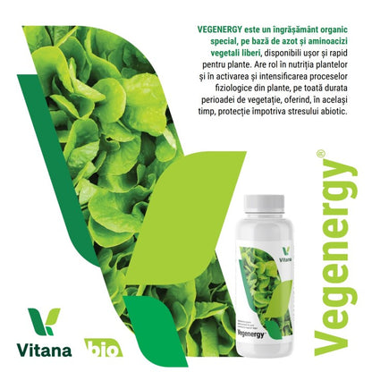 https://www.verdon.ro/44147-product_main/ingrasamant-foliar-vegenergy-organic-vitana-1-litru.jpg