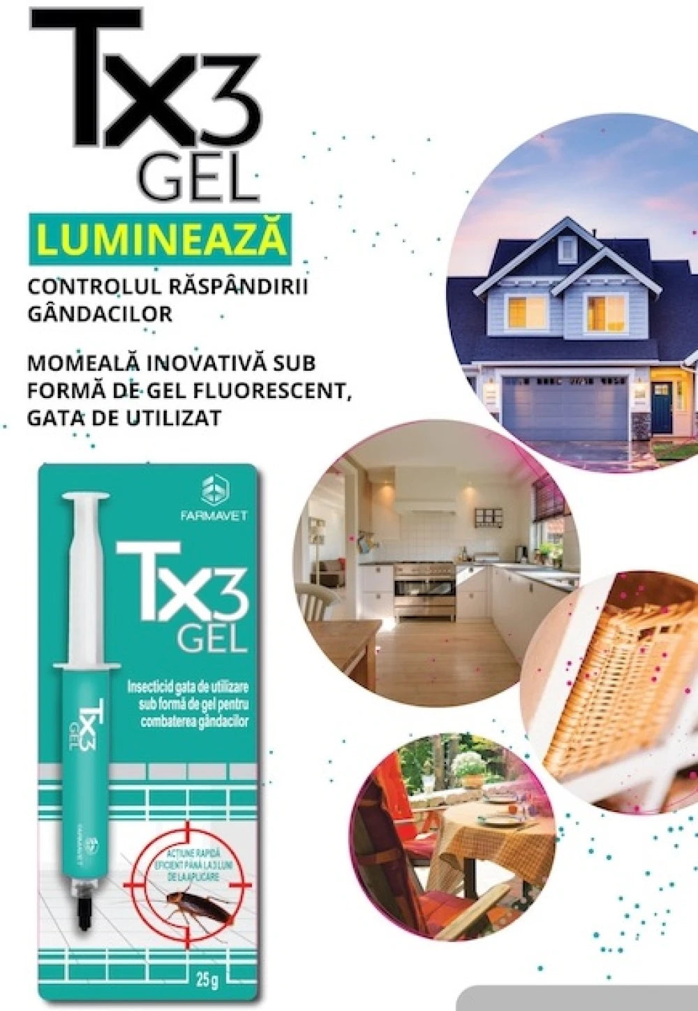 https://fitomag.ro/continut/produse/134235/1000/insecticid-pentru-gandaci-seringa-cu-gel-tx3-25-grame_203096.webp