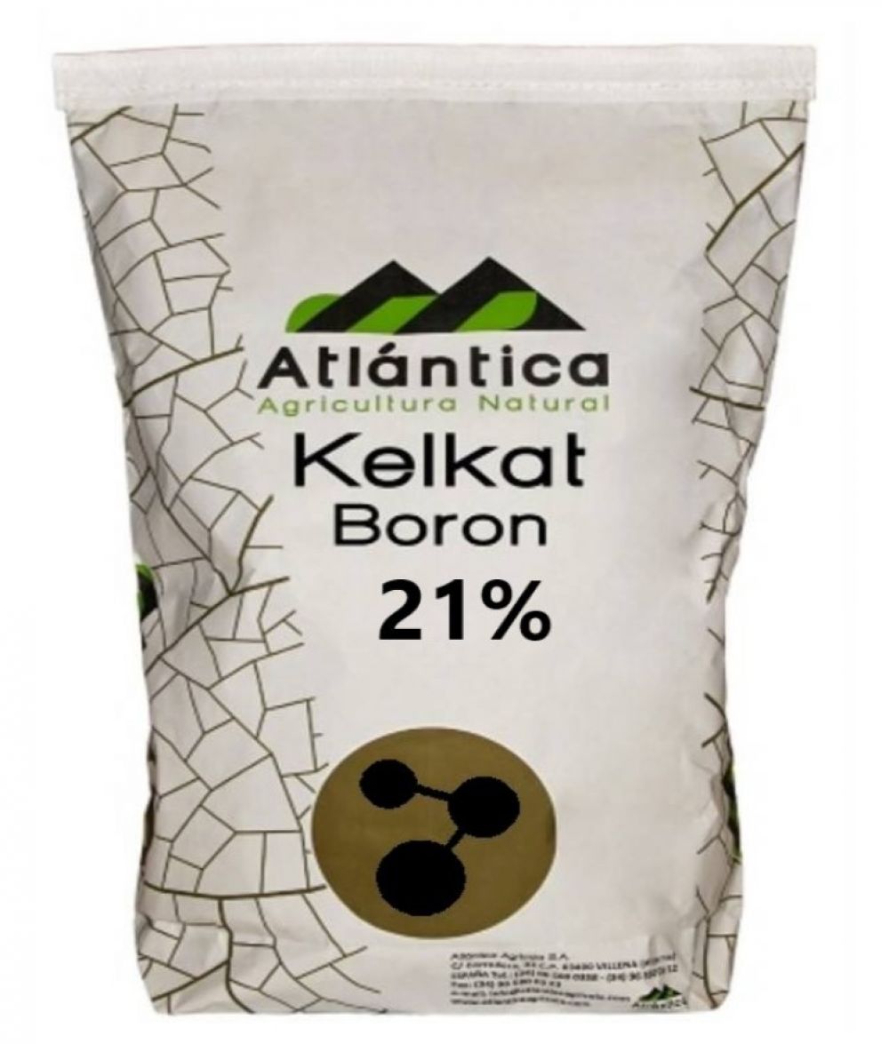 ingrasamant-kelkat-b-21