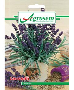 https://agrosemseed.ro/images/thumbnails/240/290/detailed/9/lavanda.jpg