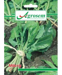 https://agrosemseed.ro/images/thumbnails/240/290/detailed/9/macris.jpg