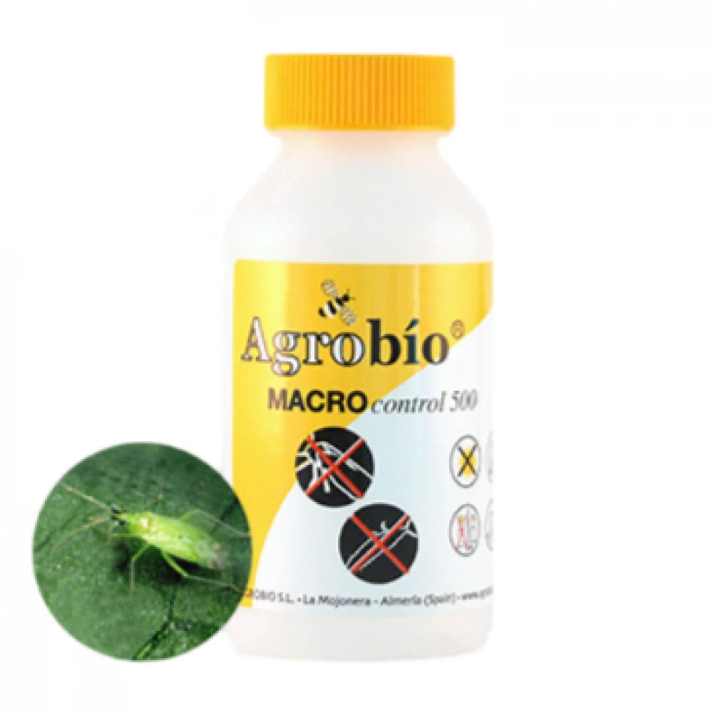 pradator-musculita-alba-macrocontrol-500-indivizi