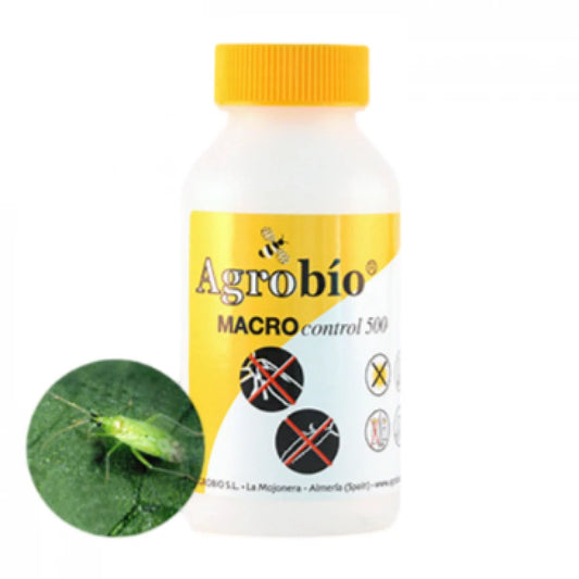 pradator-musculita-alba-macrocontrol-500-indivizi