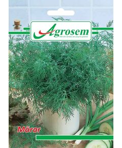 https://agrosemseed.ro/images/thumbnails/240/290/detailed/9/marar.jpg