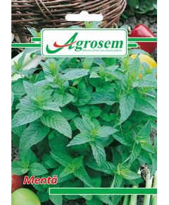 https://agrosemseed.ro/images/thumbnails/240/290/detailed/9/menta.jpg