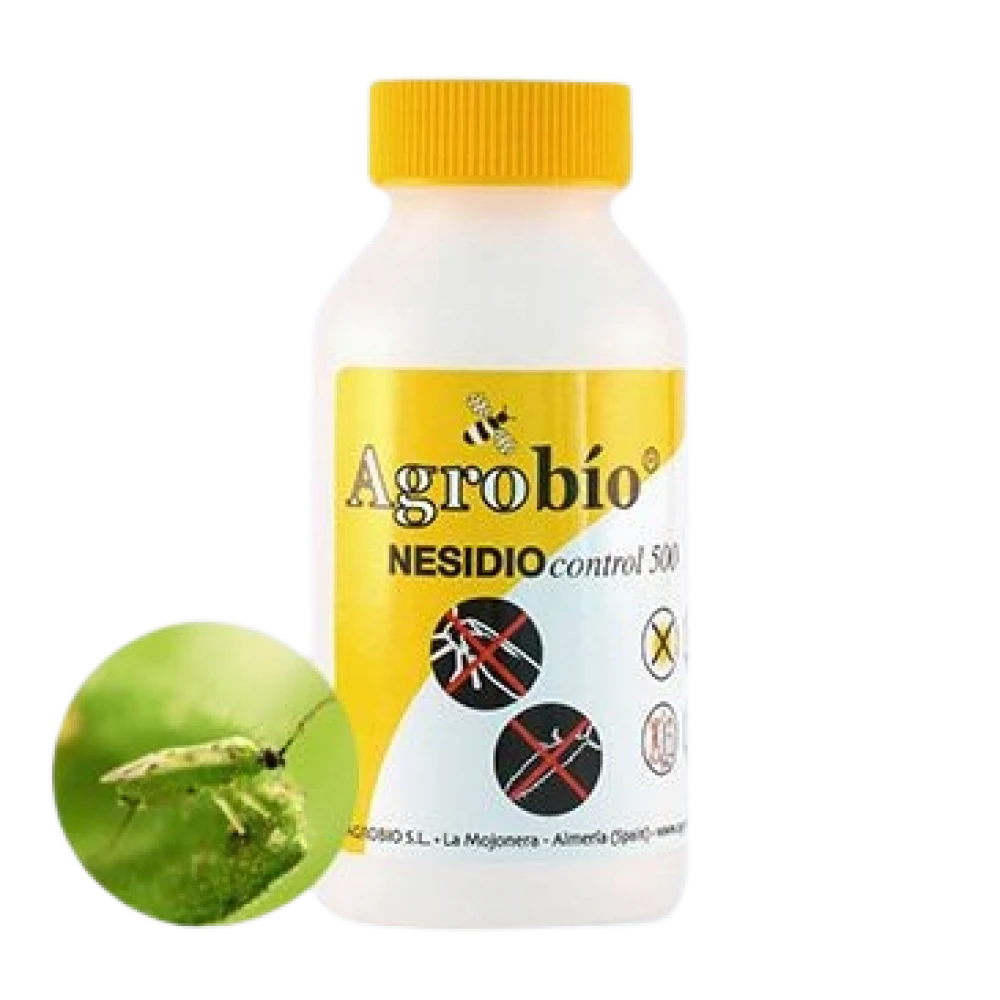 pradator-musculita-alba-nesidiocontrol-500-indivizi