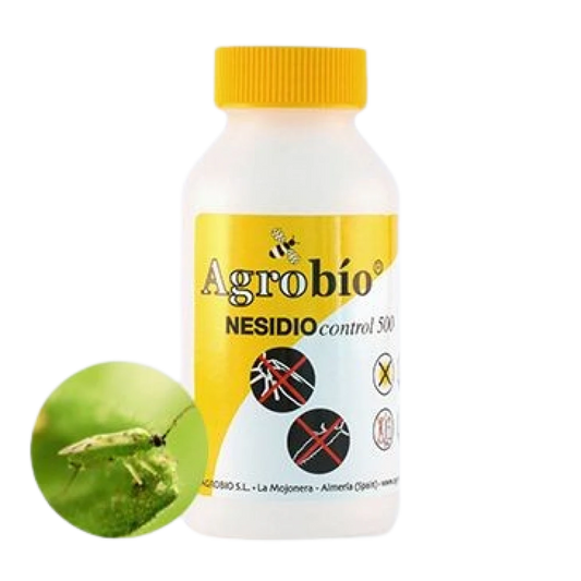 pradator-musculita-alba-nesidiocontrol-500-indivizi