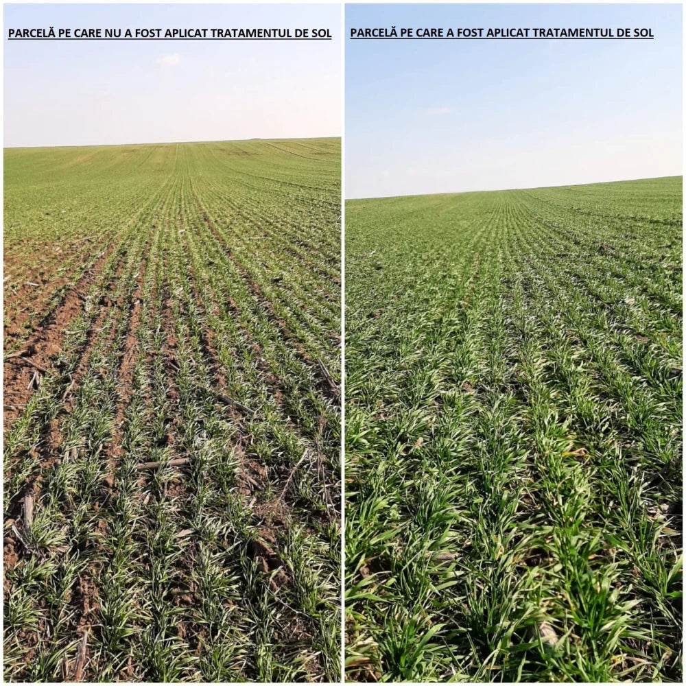 pachet-tratament-sol-bio-10-hectare-cereale-ferme