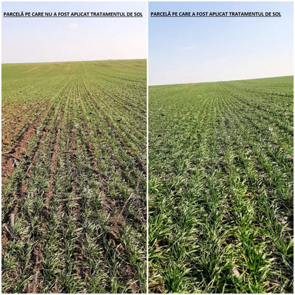 pachet-tratament-sol-bio-10-hectare-cereale-ferme