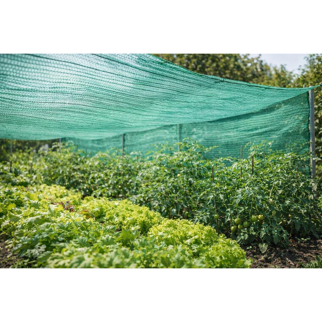 Plasa de umbrire legume, HDPE, UV, 30 g/mp, grad de umbrire 30%, verde, 1.5x25 m, Strend Pro