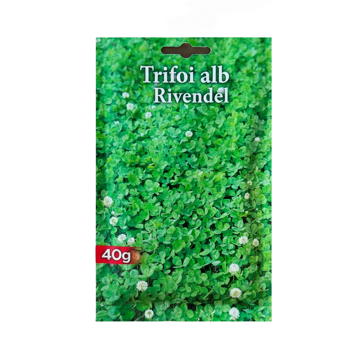 samanta-trifoi-alb-pitic-rivendel-trifolium-repens