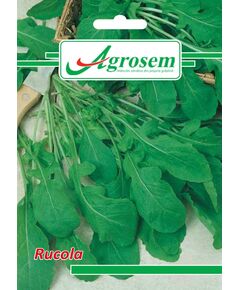 https://agrosemseed.ro/images/thumbnails/240/290/detailed/9/rucola.jpg